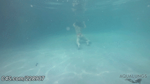 aqualungs50.com - Portia Everly - The Exhibitionist Meets the Voyeur thumbnail